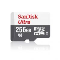 11. Ssd Sandisk Ultra 256gb