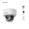 Hikvision 2CD2D24G4-VN